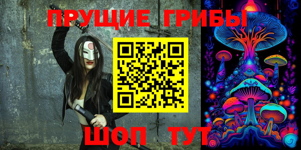Гусиноозёрск  Псилоцибиновые грибы ЛСД  Вход с VPN 